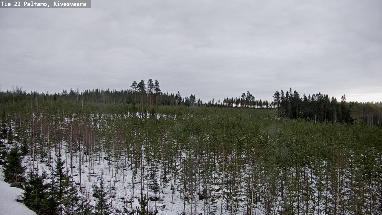 Weather Camera Image Road 22 Paltamo, Kivesvaara, Paltamo, Kainuu
