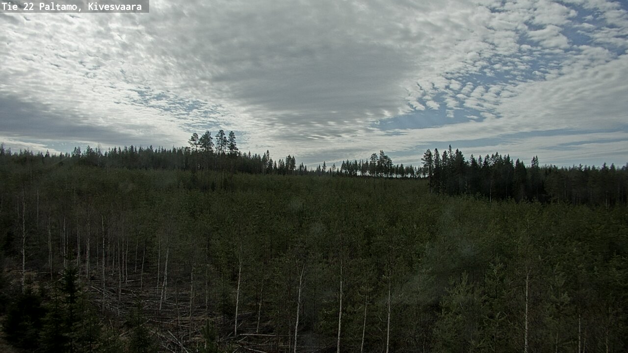 Weather Camera Image Väg 22 Paltamo, Kivesvaara, Paltamo, Kainuu