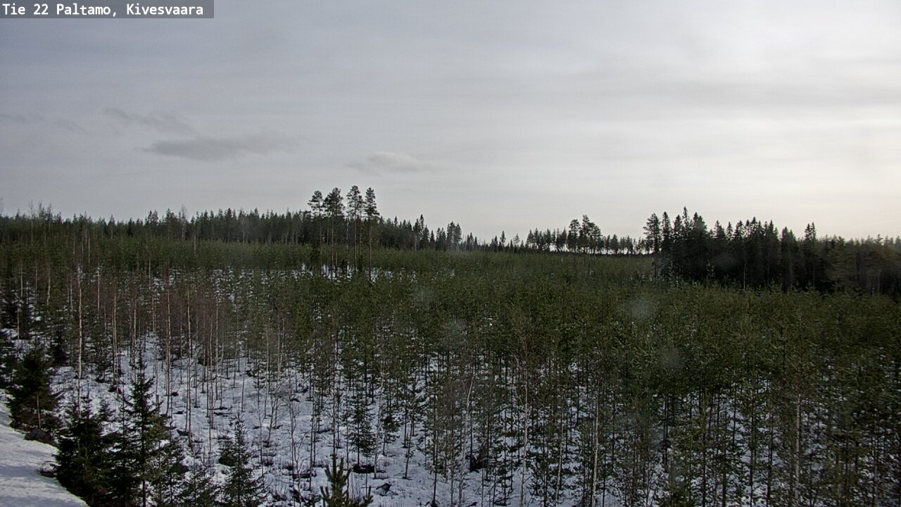 Kelikamerat Kuva Tie 22 Paltamo, Kivesvaara, Paltamo, Kainuu