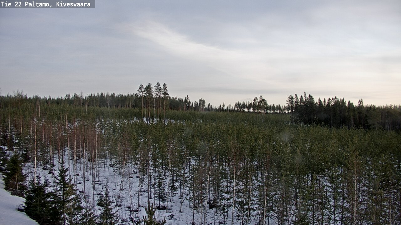 Kelikamerat Kuva Tie 22 Paltamo, Kivesvaara, Paltamo, Kainuu