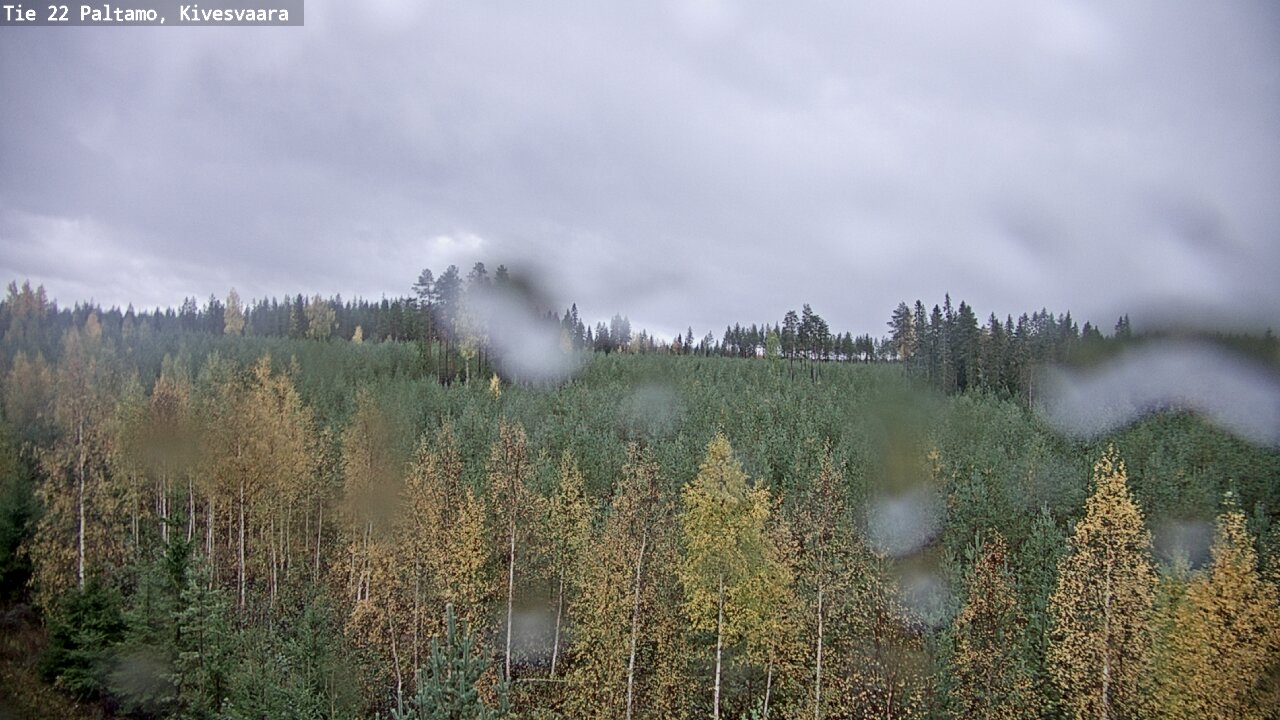 Kelikamerat Kuva Tie 22 Paltamo, Kivesvaara, Paltamo, Kainuu