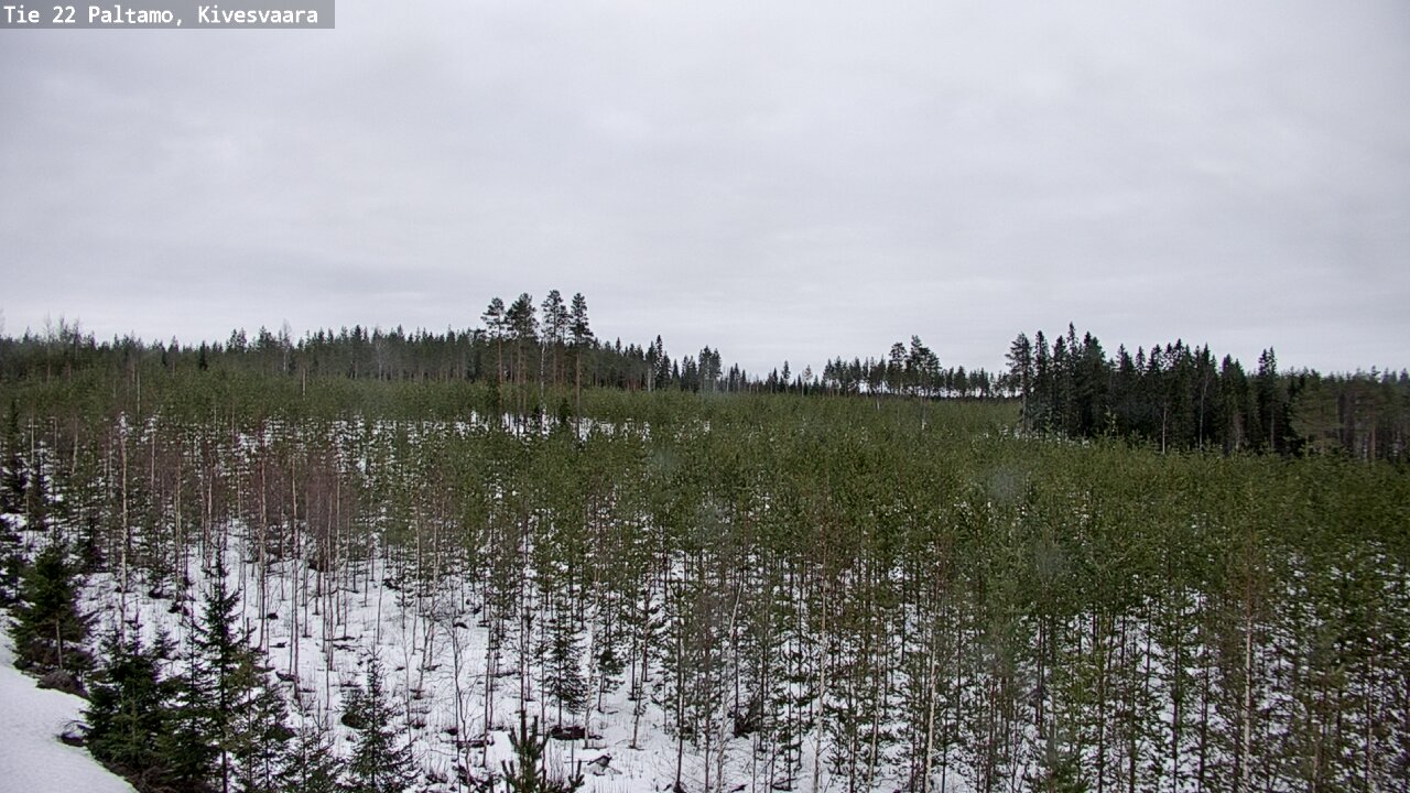 Kelikamerat Kuva Tie 22 Paltamo, Kivesvaara, Paltamo, Kainuu