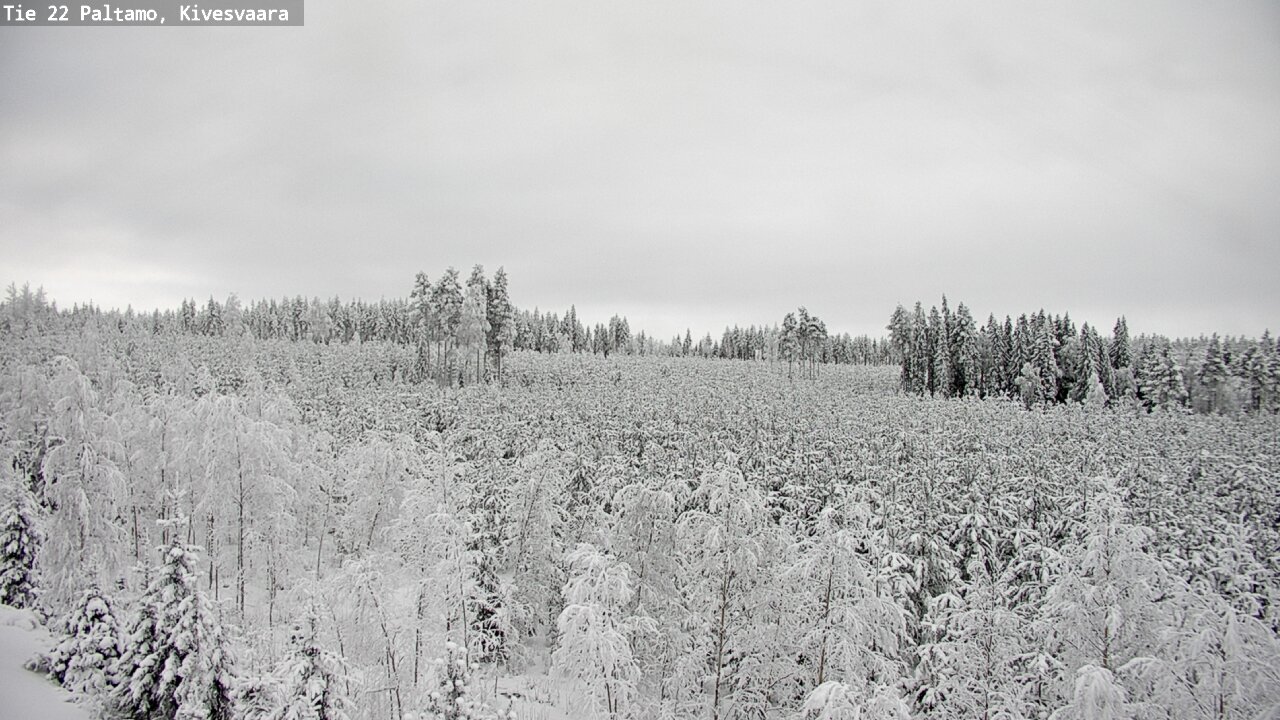 Weather Camera Image Road 22 Paltamo, Kivesvaara, Paltamo, Kainuu