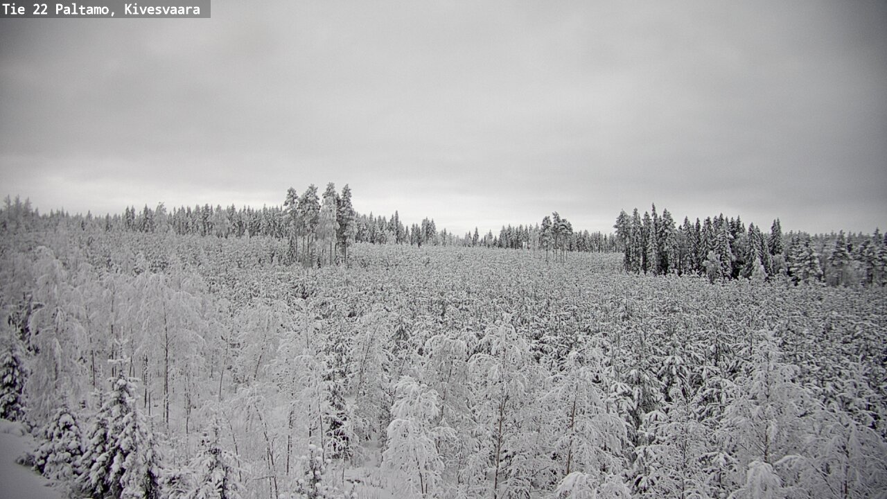 Kelikamerat Kuva Tie 22 Paltamo, Kivesvaara, Paltamo, Kainuu