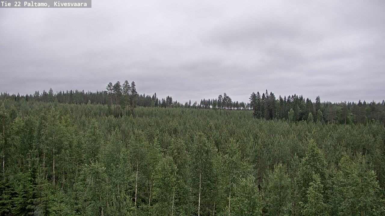 Weather Camera Image Road 22 Paltamo, Kivesvaara, Paltamo, Kainuu