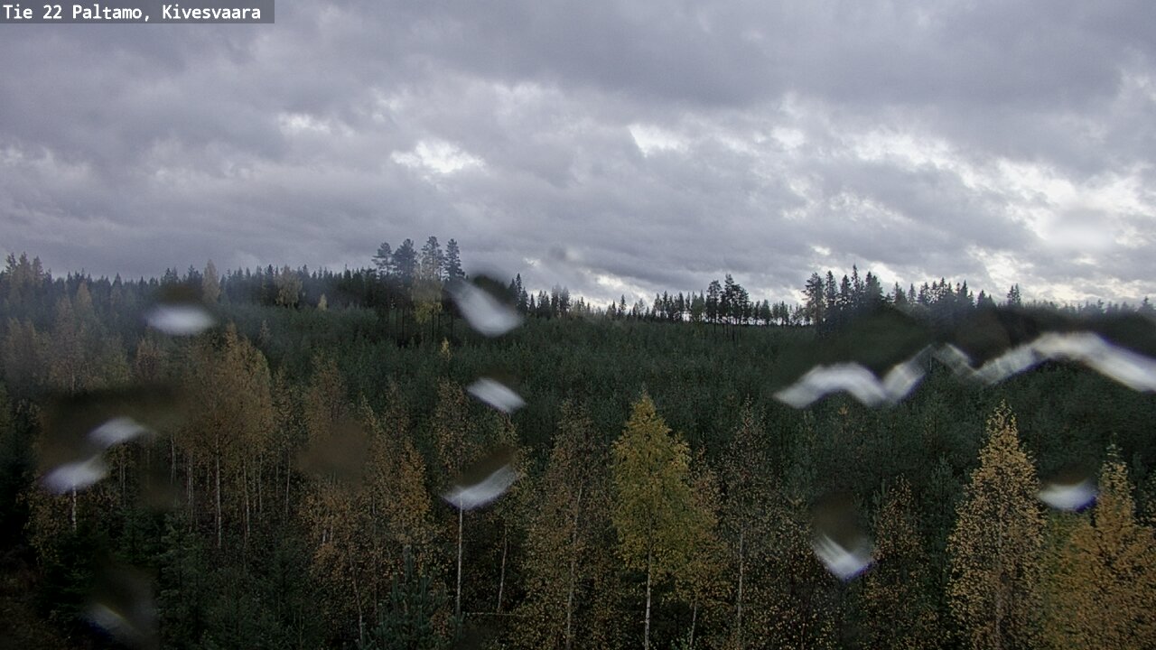 Weather Camera Image Road 22 Paltamo, Kivesvaara, Paltamo, Kainuu