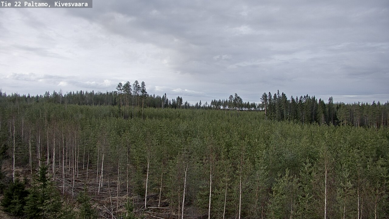 Weather Camera Image Road 22 Paltamo, Kivesvaara, Paltamo, Kainuu