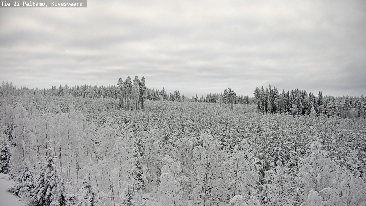 Kelikamerat Kuva Tie 22 Paltamo, Kivesvaara, Paltamo, Kainuu