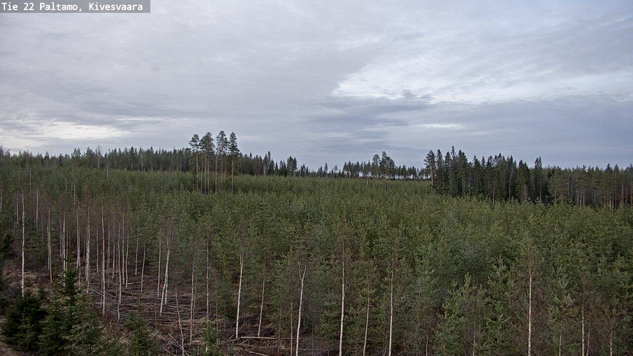 Weather Camera Image Road 22 Paltamo, Kivesvaara, Paltamo, Kainuu