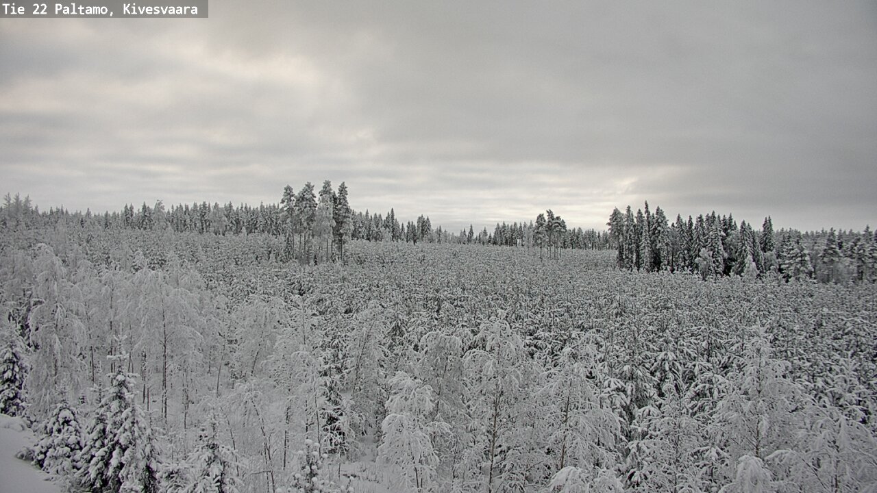 Kelikamerat Kuva Tie 22 Paltamo, Kivesvaara, Paltamo, Kainuu