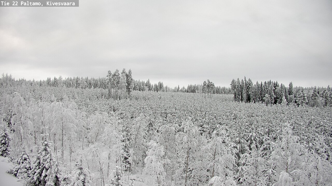 Weather Camera Image Road 22 Paltamo, Kivesvaara, Paltamo, Kainuu