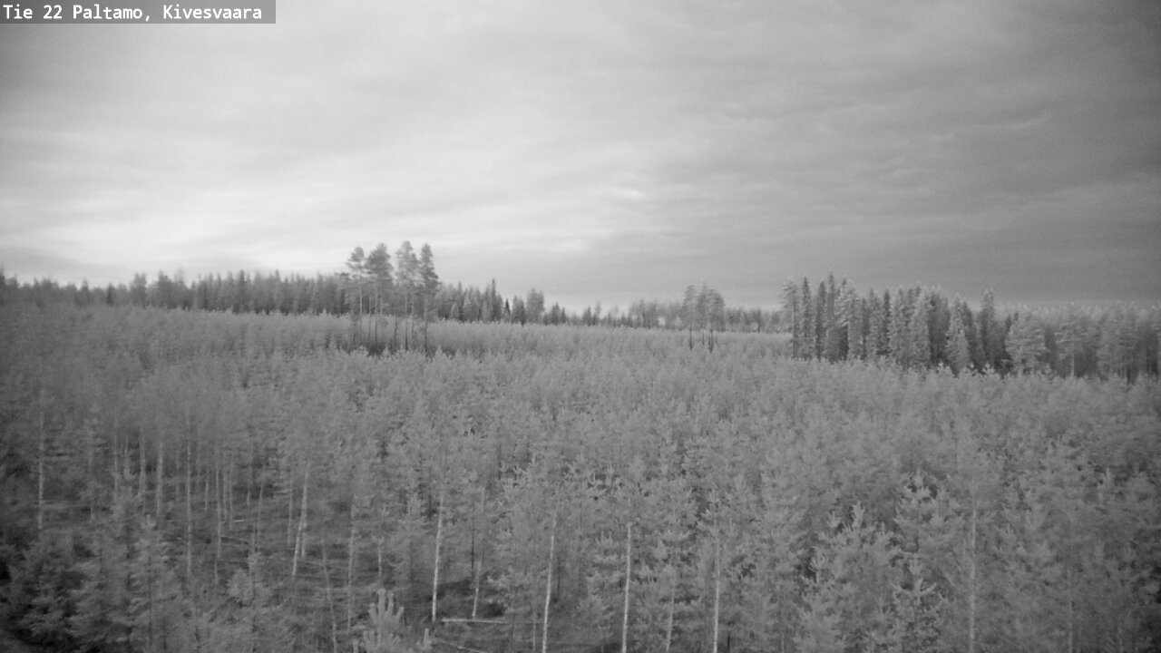 Weather Camera Image Road 22 Paltamo, Kivesvaara, Paltamo, Kainuu