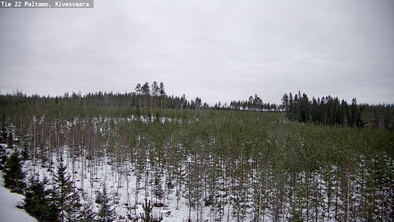 Kelikamerat Kuva Tie 22 Paltamo, Kivesvaara, Paltamo, Kainuu