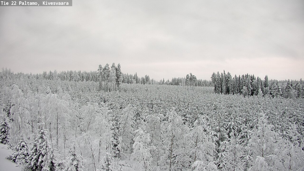 Kelikamerat Kuva Tie 22 Paltamo, Kivesvaara, Paltamo, Kainuu