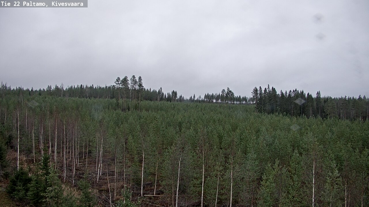 Weather Camera Image Road 22 Paltamo, Kivesvaara, Paltamo, Kainuu