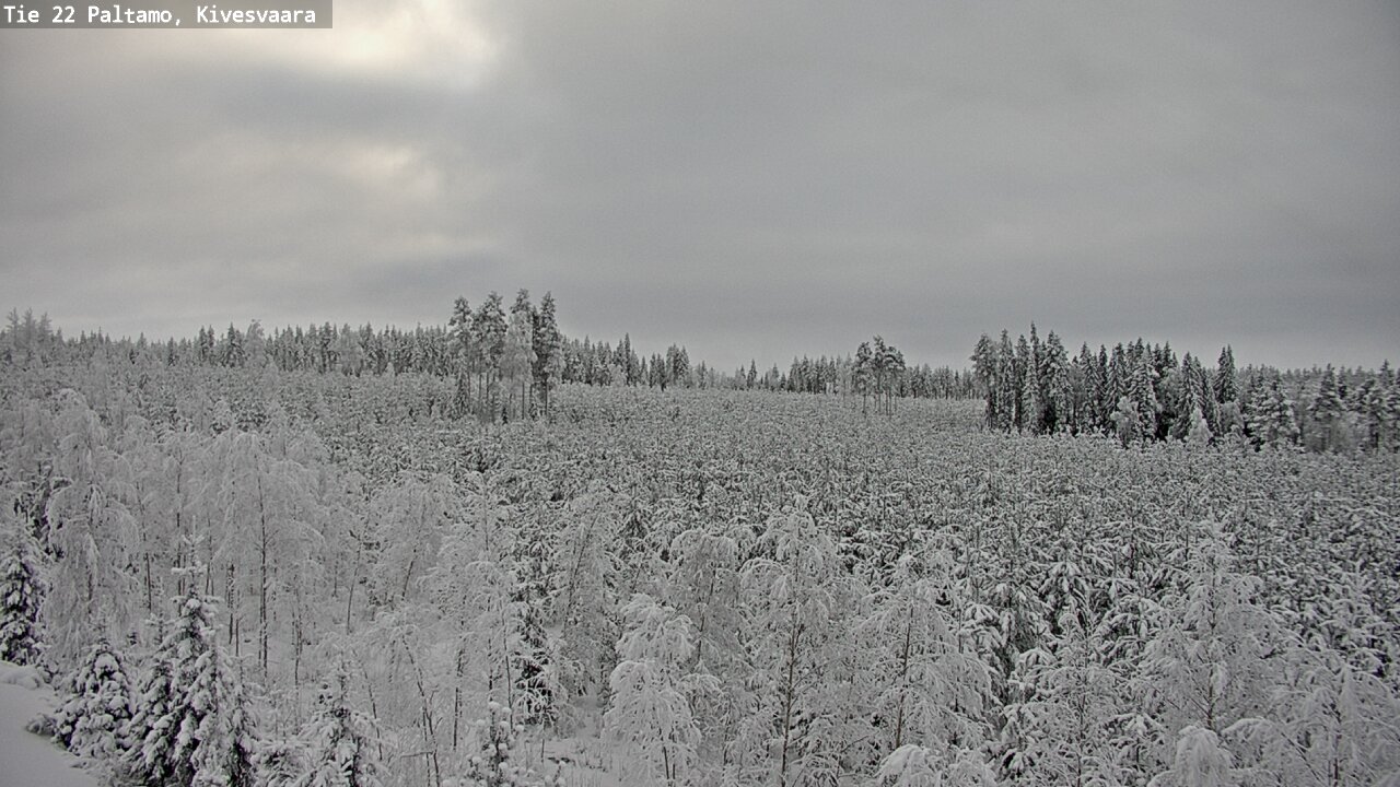 Weather Camera Image Road 22 Paltamo, Kivesvaara, Paltamo, Kainuu