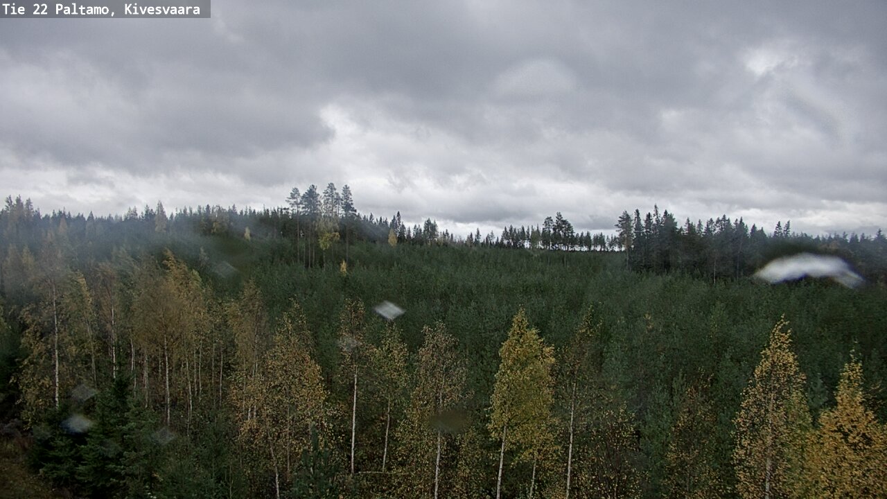 Weather Camera Image Road 22 Paltamo, Kivesvaara, Paltamo, Kainuu