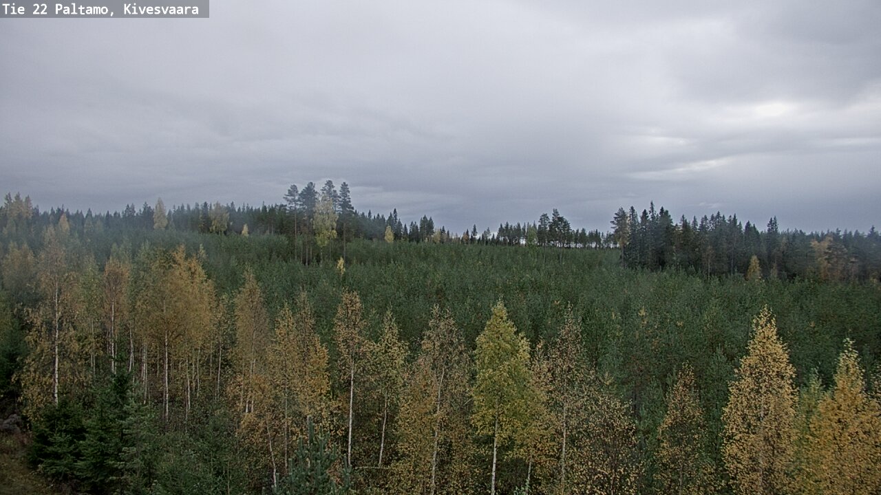 Kelikamerat Kuva Tie 22 Paltamo, Kivesvaara, Paltamo, Kainuu