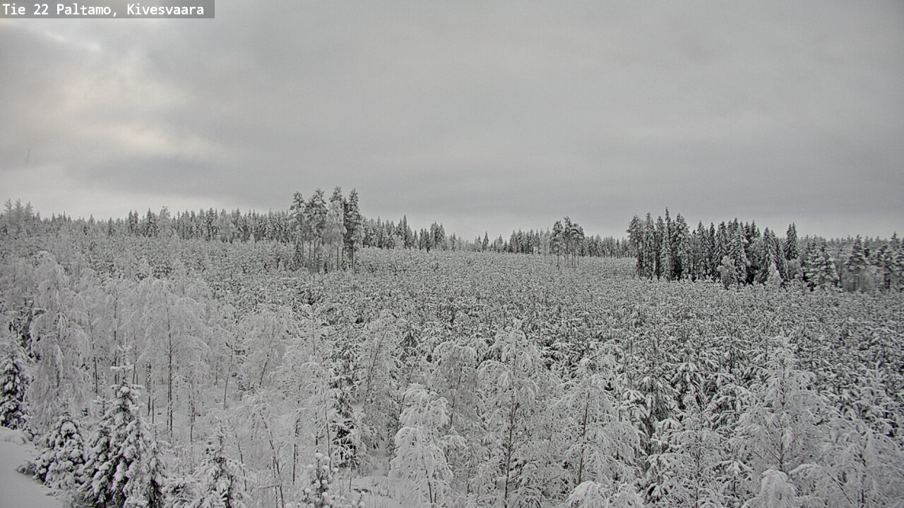 Weather Camera Image Road 22 Paltamo, Kivesvaara, Paltamo, Kainuu