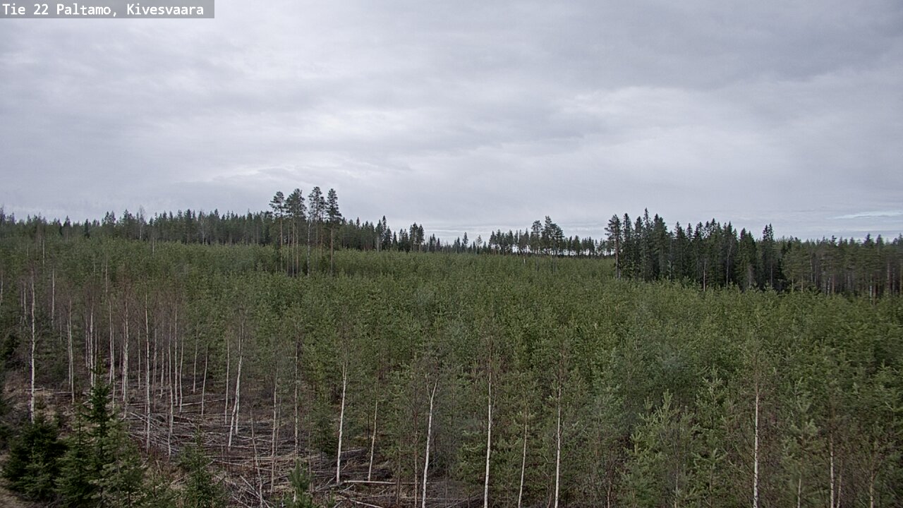 Weather Camera Image Väg 22 Paltamo, Kivesvaara, Paltamo, Kainuu