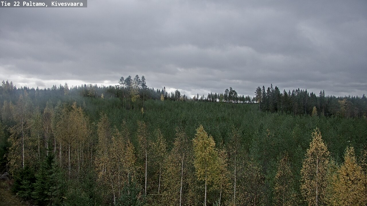 Weather Camera Image Road 22 Paltamo, Kivesvaara, Paltamo, Kainuu