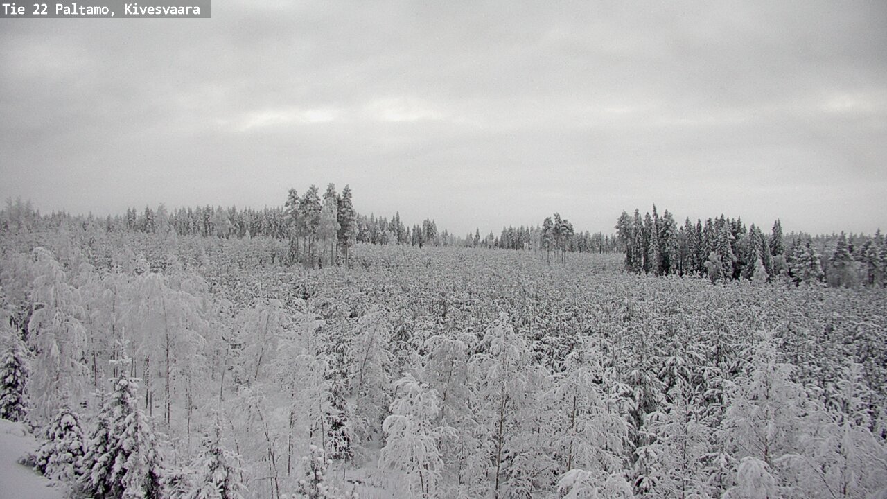 Kelikamerat Kuva Tie 22 Paltamo, Kivesvaara, Paltamo, Kainuu