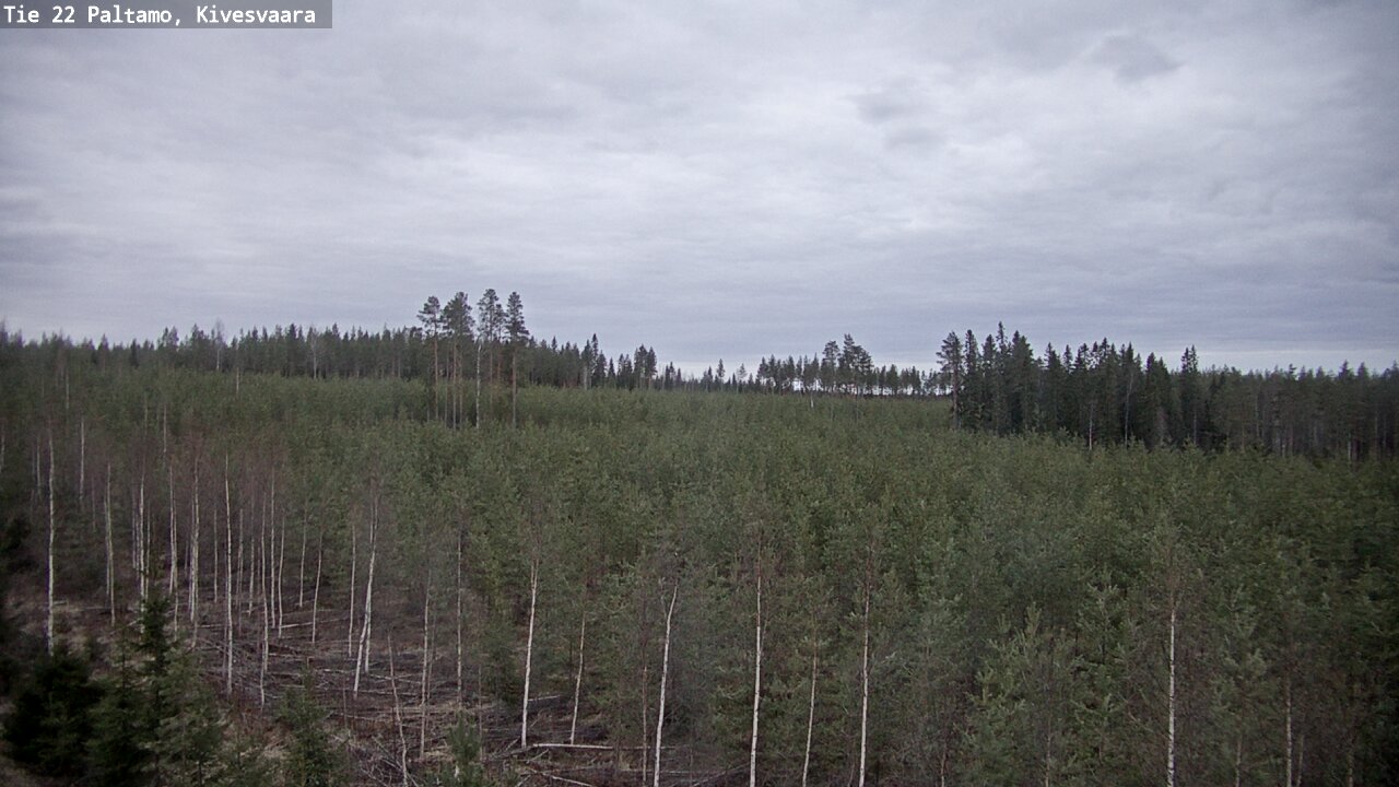Weather Camera Image Road 22 Paltamo, Kivesvaara, Paltamo, Kainuu