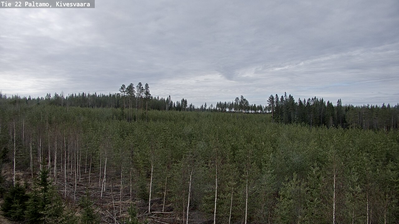Weather Camera Image Väg 22 Paltamo, Kivesvaara, Paltamo, Kainuu
