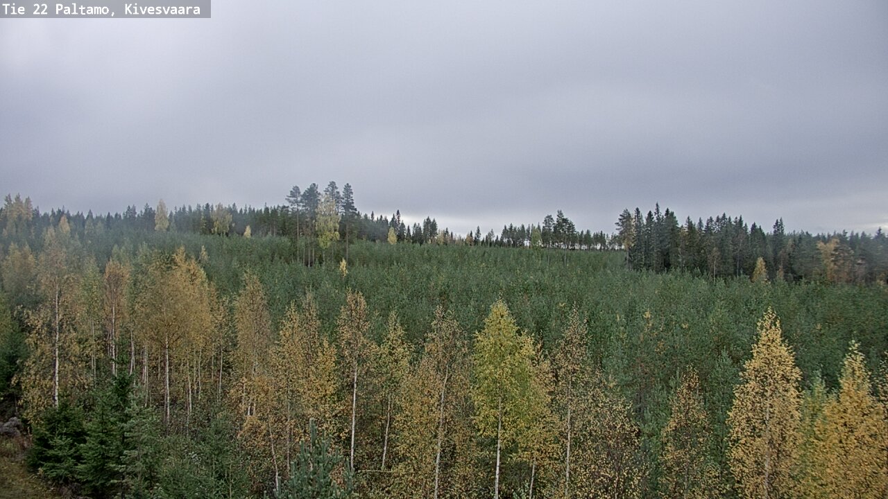 Kelikamerat Kuva Tie 22 Paltamo, Kivesvaara, Paltamo, Kainuu