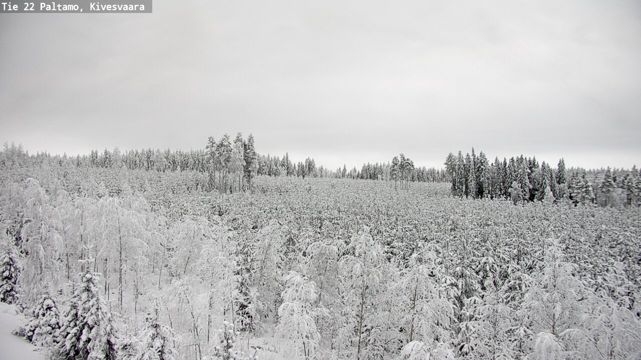 Weather Camera Image Väg 22 Paltamo, Kivesvaara, Paltamo, Kainuu