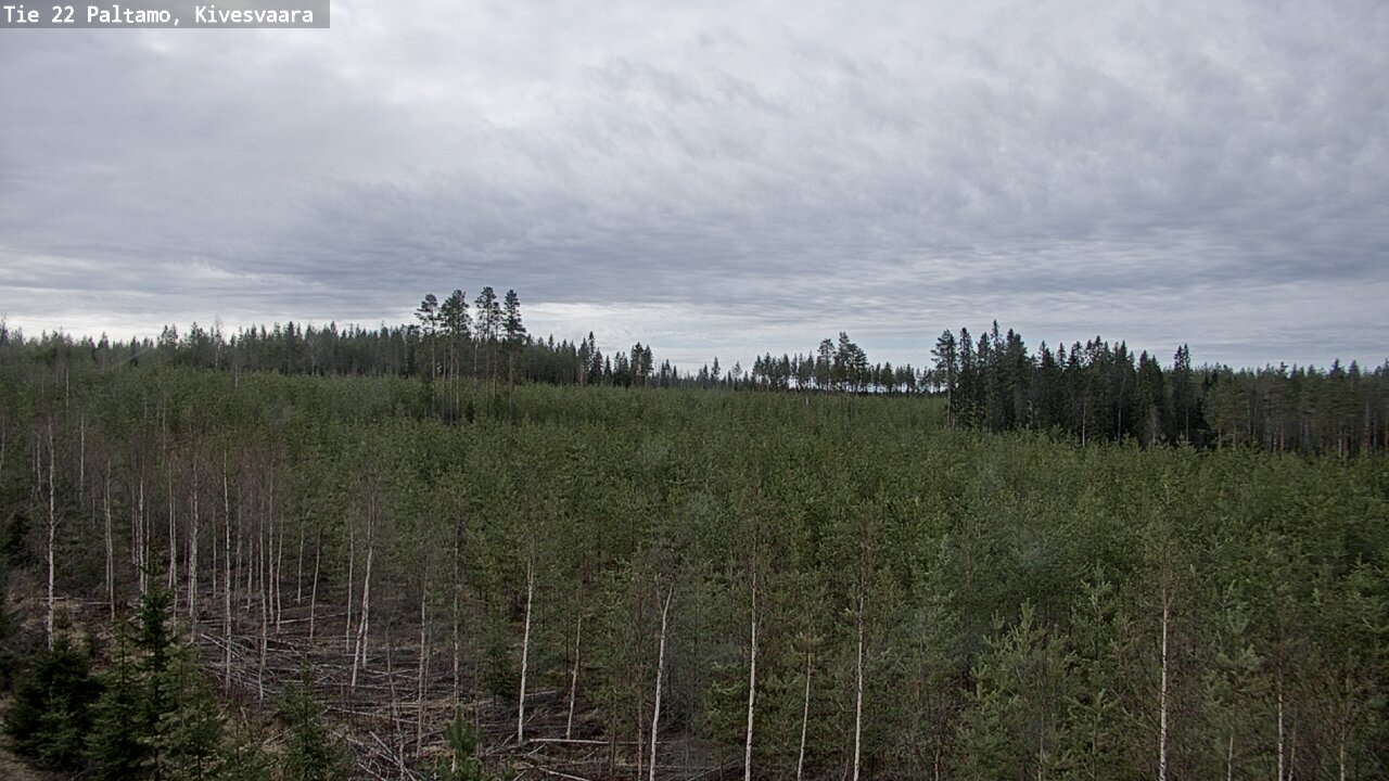 Weather Camera Image Väg 22 Paltamo, Kivesvaara, Paltamo, Kainuu