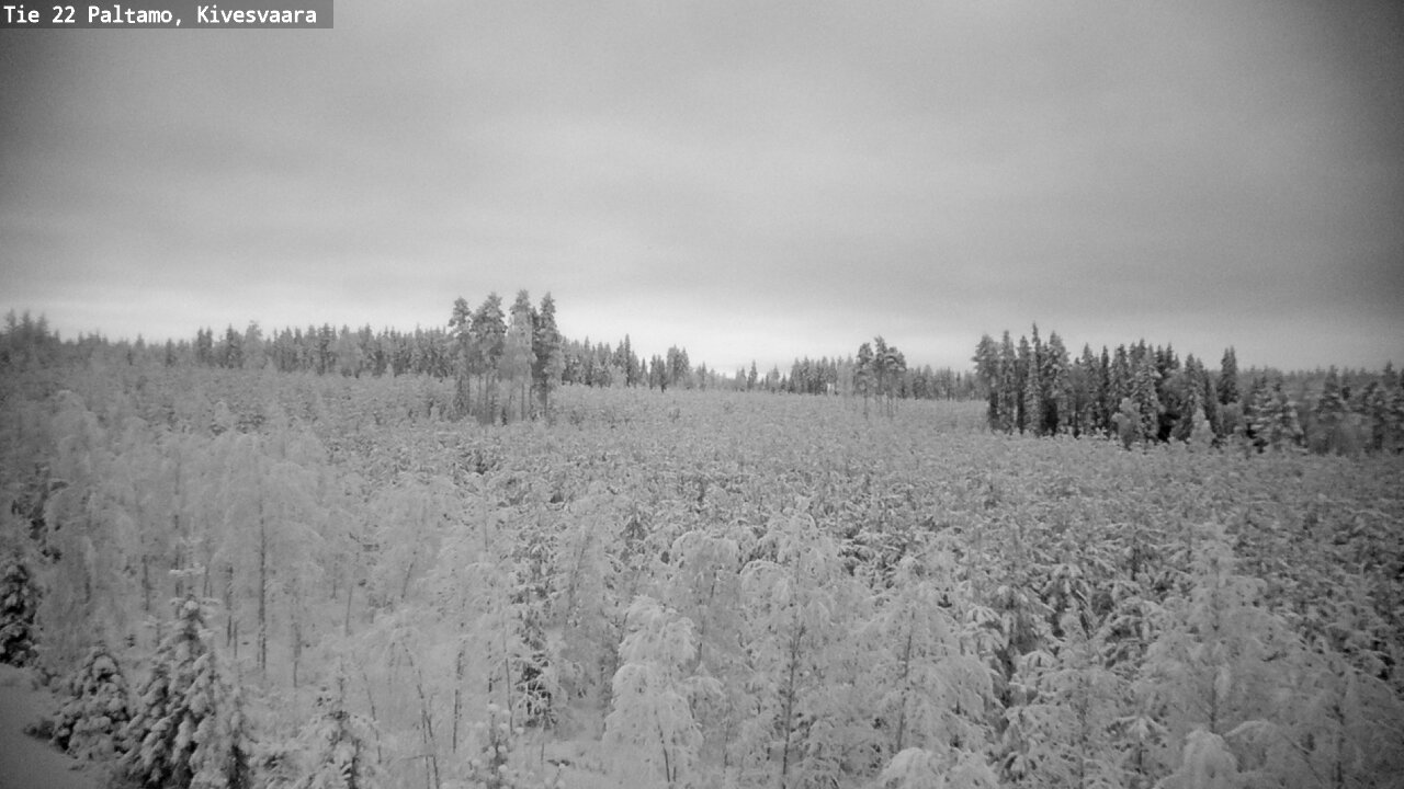 Kelikamerat Kuva Tie 22 Paltamo, Kivesvaara, Paltamo, Kainuu