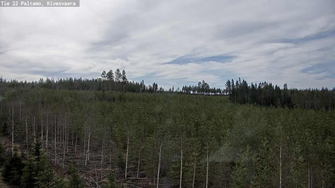 Weather Camera Image Road 22 Paltamo, Kivesvaara, Paltamo, Kainuu