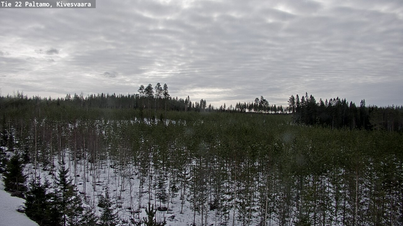 Weather Camera Image Väg 22 Paltamo, Kivesvaara, Paltamo, Kainuu