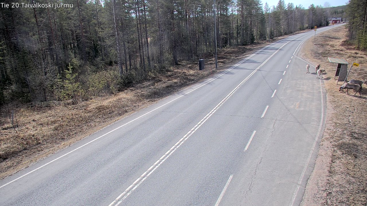 Weather Camera Image Väg 20 Taivalkoski, Jurmu, Taivalkoski, Pohjois-Pohjanmaa