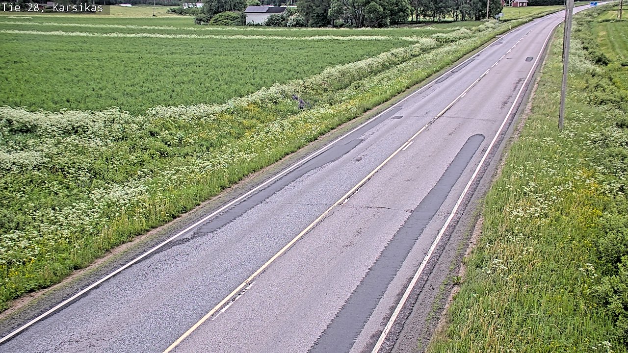Weather Camera Image Road 28 Haapavesi, Karsikas, Haapavesi, Pohjois-Pohjanmaa