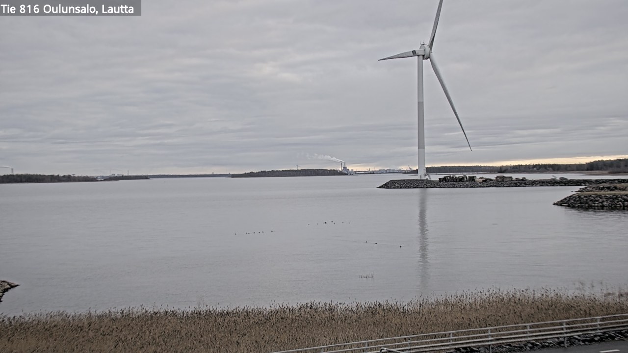 Kelikamerat Kuva Tie 816 Oulunsalo, lauttaranta, Oulu, Pohjois-Pohjanmaa