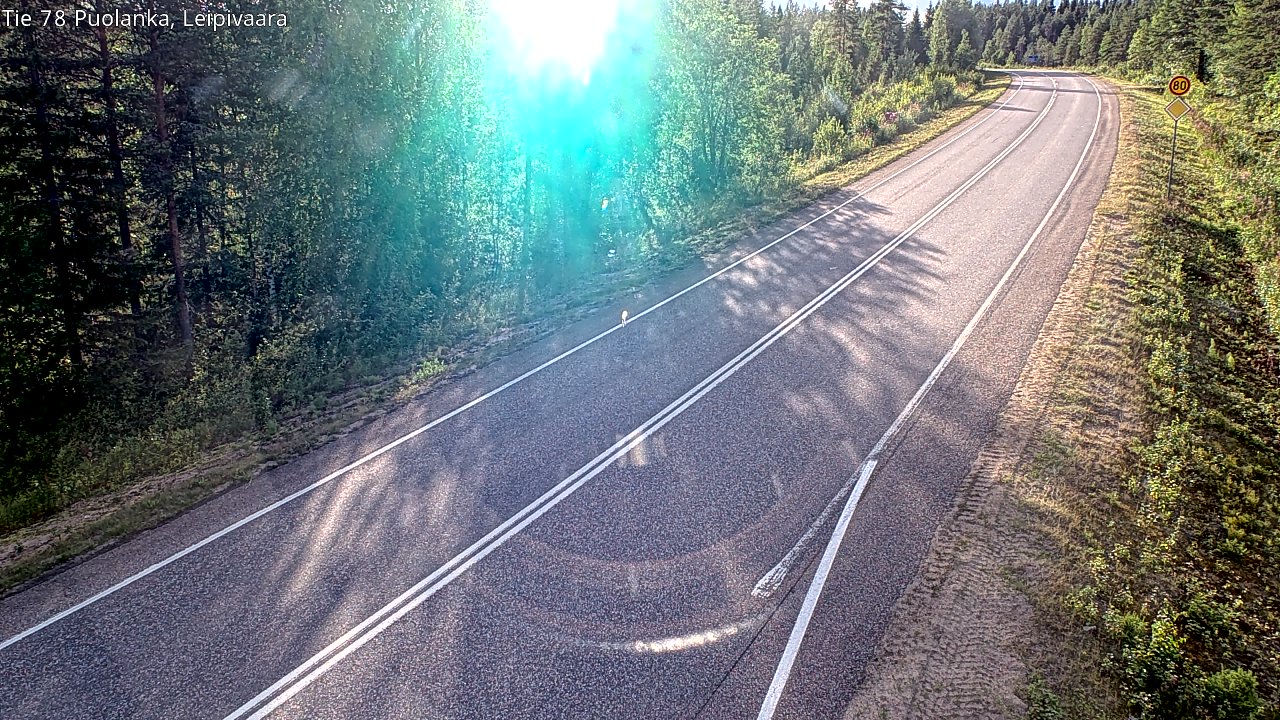 Weather Camera Image Road 78 Puolanka, Leipivaara, Puolanka, Kainuu
