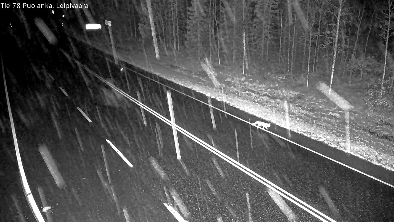 Kelikamerat Kuva Tie 78 Puolanka, Leipivaara, Puolanka, Kainuu