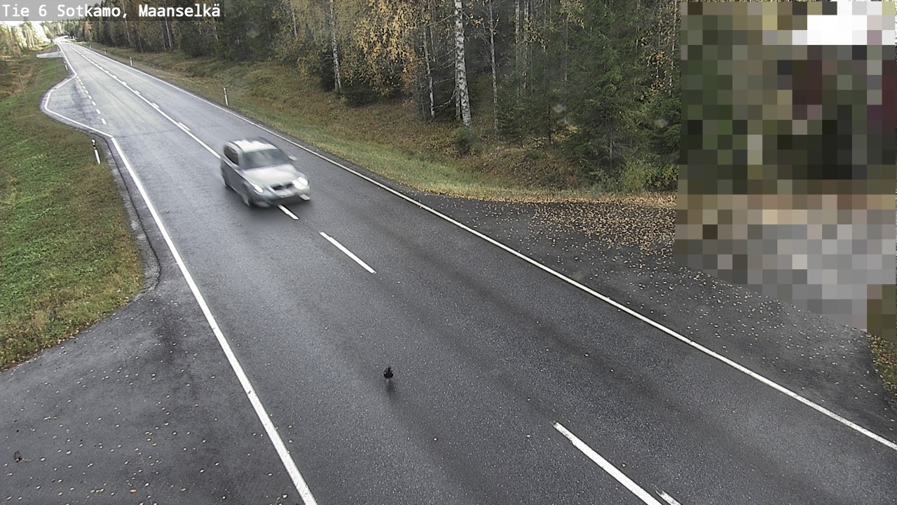 Kelikamerat Kuva Tie 6 Sotkamo, Maanselkä, Sotkamo, Kainuu