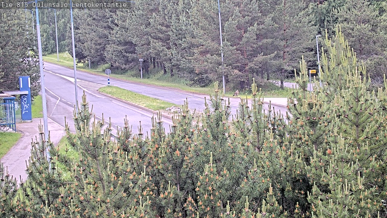 Kelikamerat Kuva Tie 816 Oulunsalo, Lentokentäntie, Oulu, Pohjois-Pohjanmaa