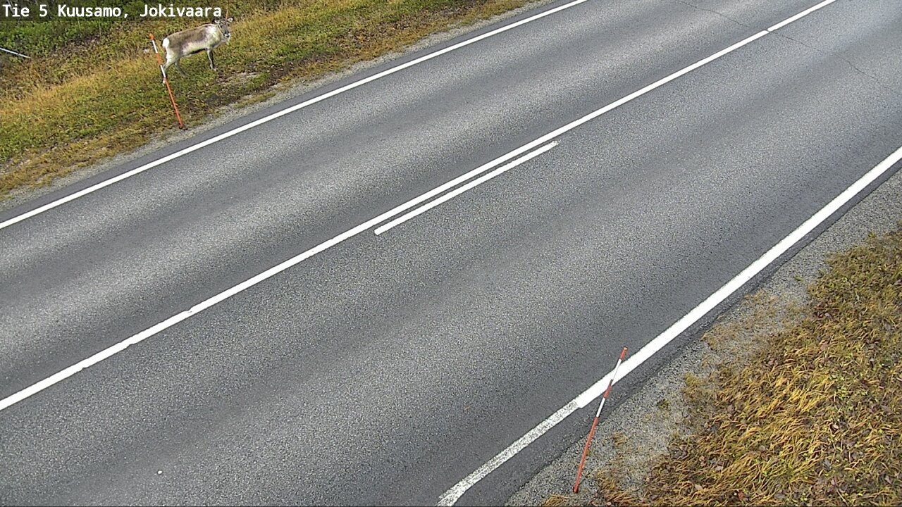 Kelikamerat Kuva Tie 5 Kuusamo, Jokivaara, Kuusamo, Pohjois-Pohjanmaa