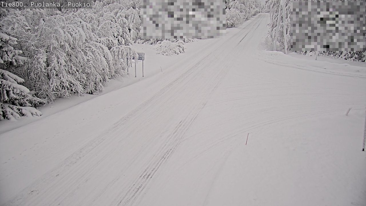 Weather Camera Image Road 800 Puolanka, Puokio, Puolanka, Kainuu