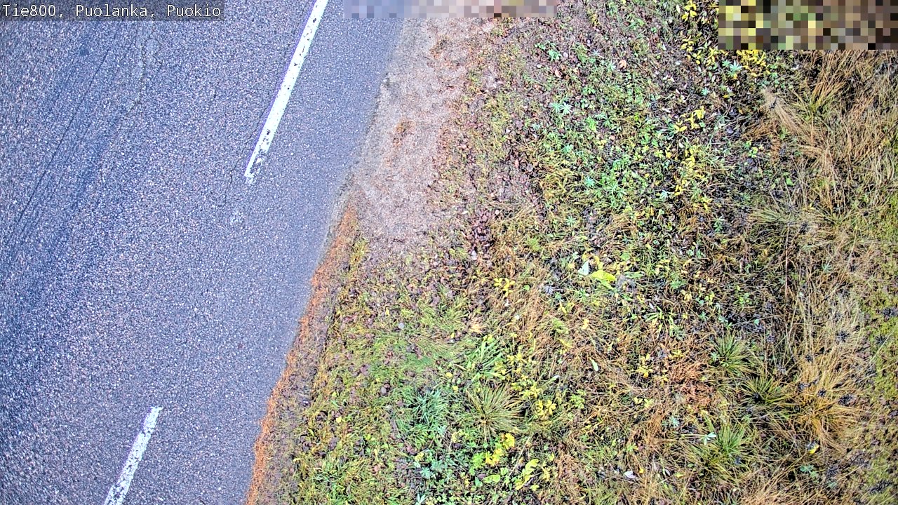 Kelikamerat Kuva Tie 800 Puolanka, Puokio, Puolanka, Kainuu