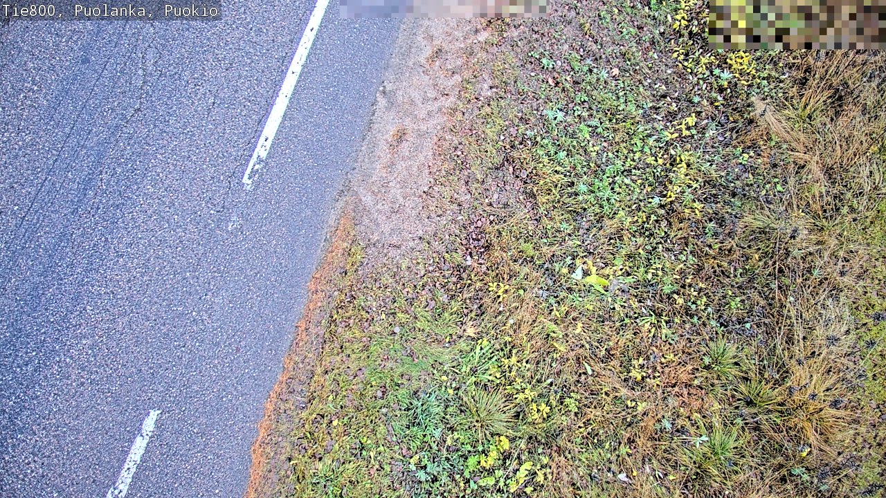 Kelikamerat Kuva Tie 800 Puolanka, Puokio, Puolanka, Kainuu