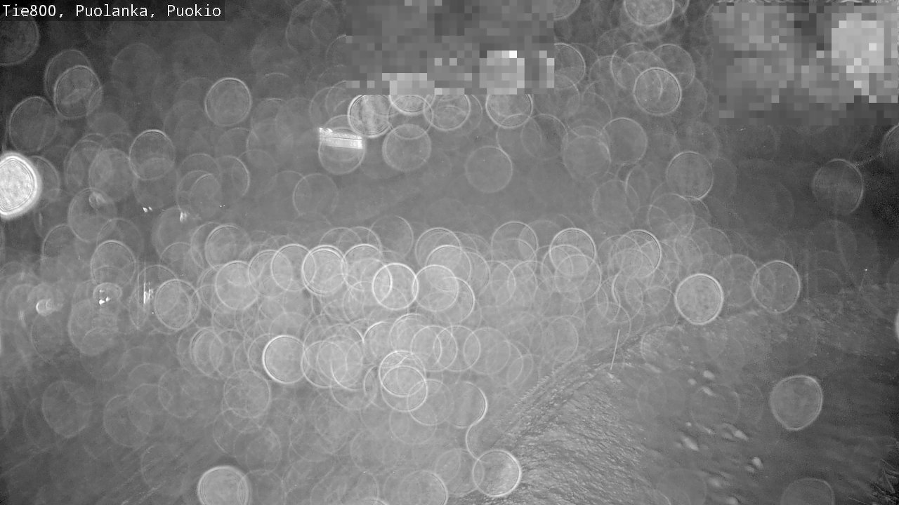 Weather Camera Image Road 800 Puolanka, Puokio, Puolanka, Kainuu