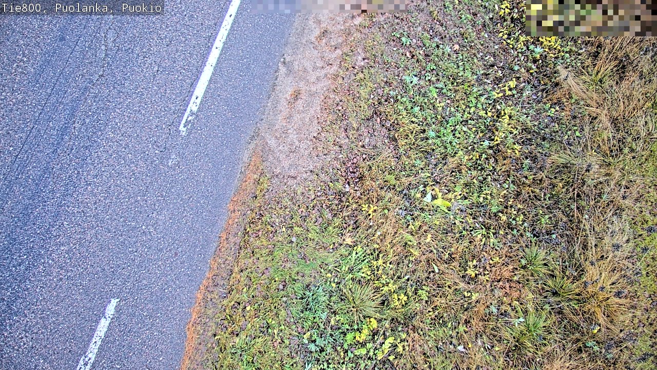 Kelikamerat Kuva Tie 800 Puolanka, Puokio, Puolanka, Kainuu