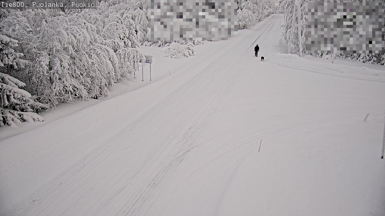 Weather Camera Image Road 800 Puolanka, Puokio, Puolanka, Kainuu