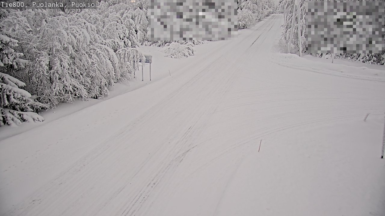 Weather Camera Image Road 800 Puolanka, Puokio, Puolanka, Kainuu