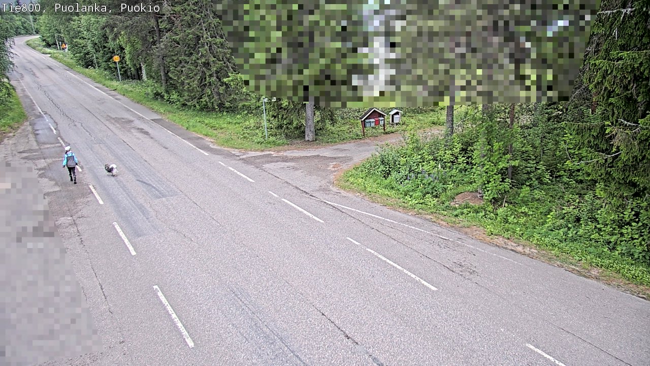 Kelikamerat Kuva Tie 800 Puolanka, Puokio, Puolanka, Kainuu